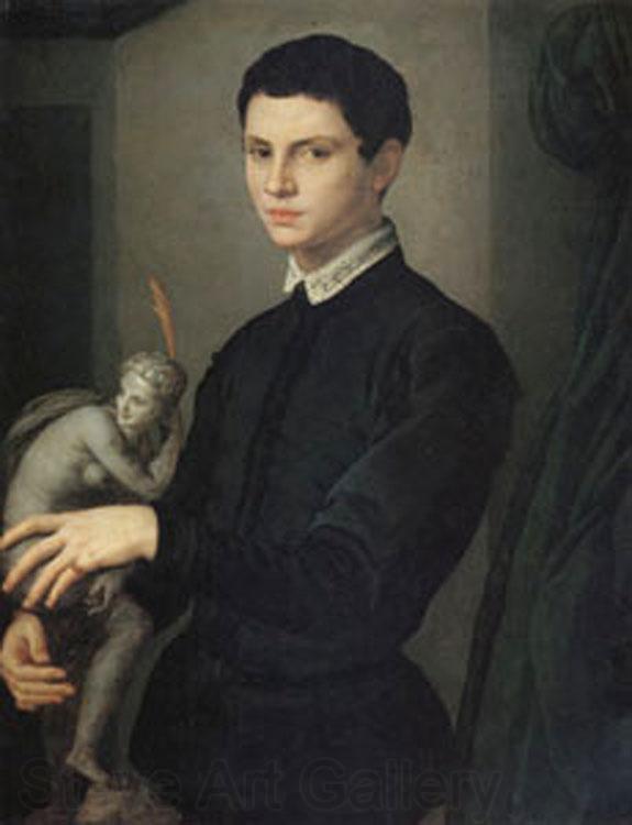 Agnolo Bronzino Portrait of a Sculptor (mk05) Spain oil painting art